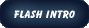 Flash Intro