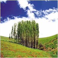 Iran, Summer