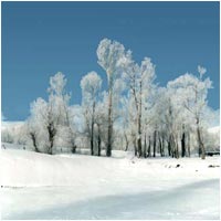 Iran, Winter